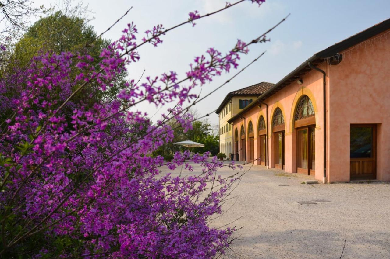 Ponte di Piave Agriturismo Rechsteiner מראה חיצוני תמונה