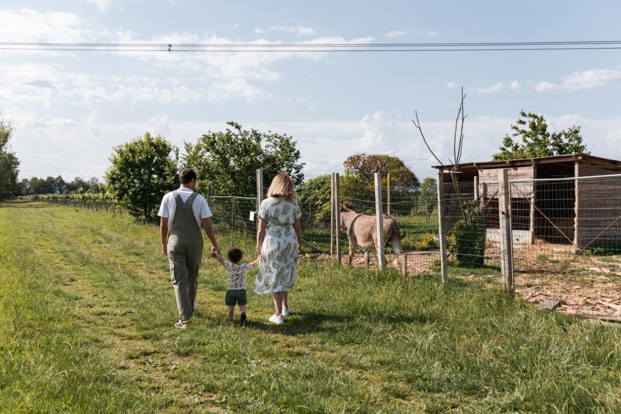 Ponte di Piave Agriturismo Rechsteiner מראה חיצוני תמונה